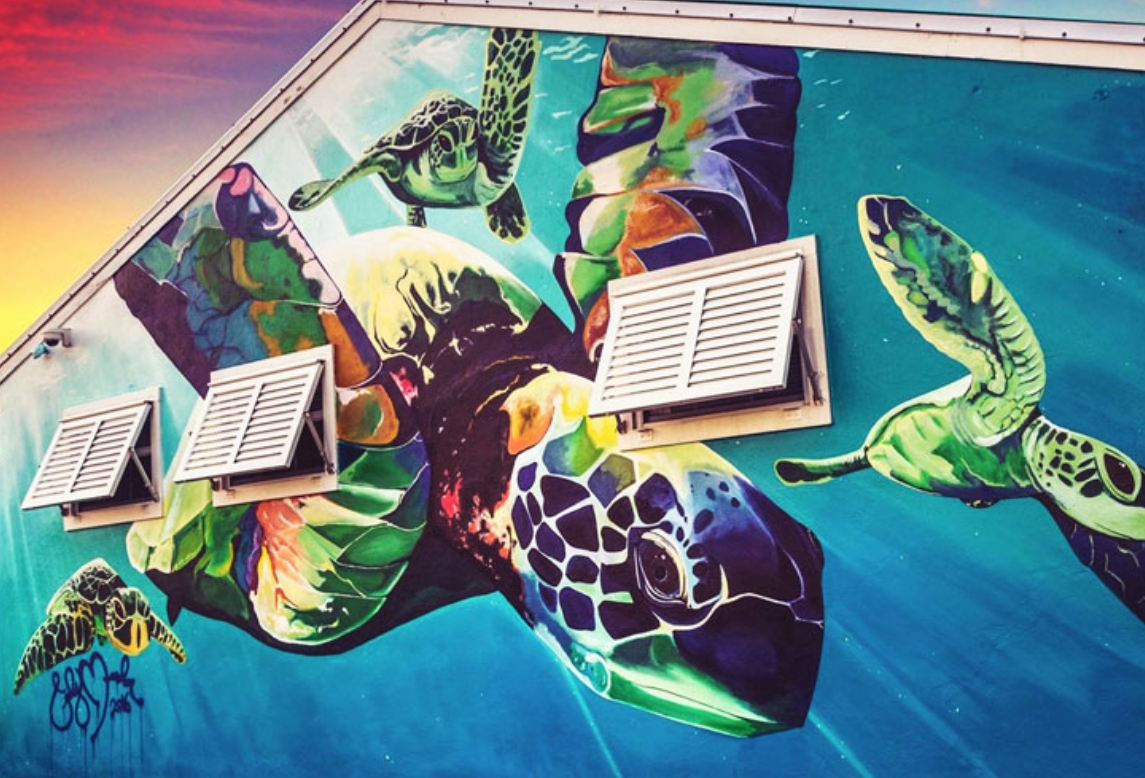 Cody Monahan “Sea Turtle” Mural