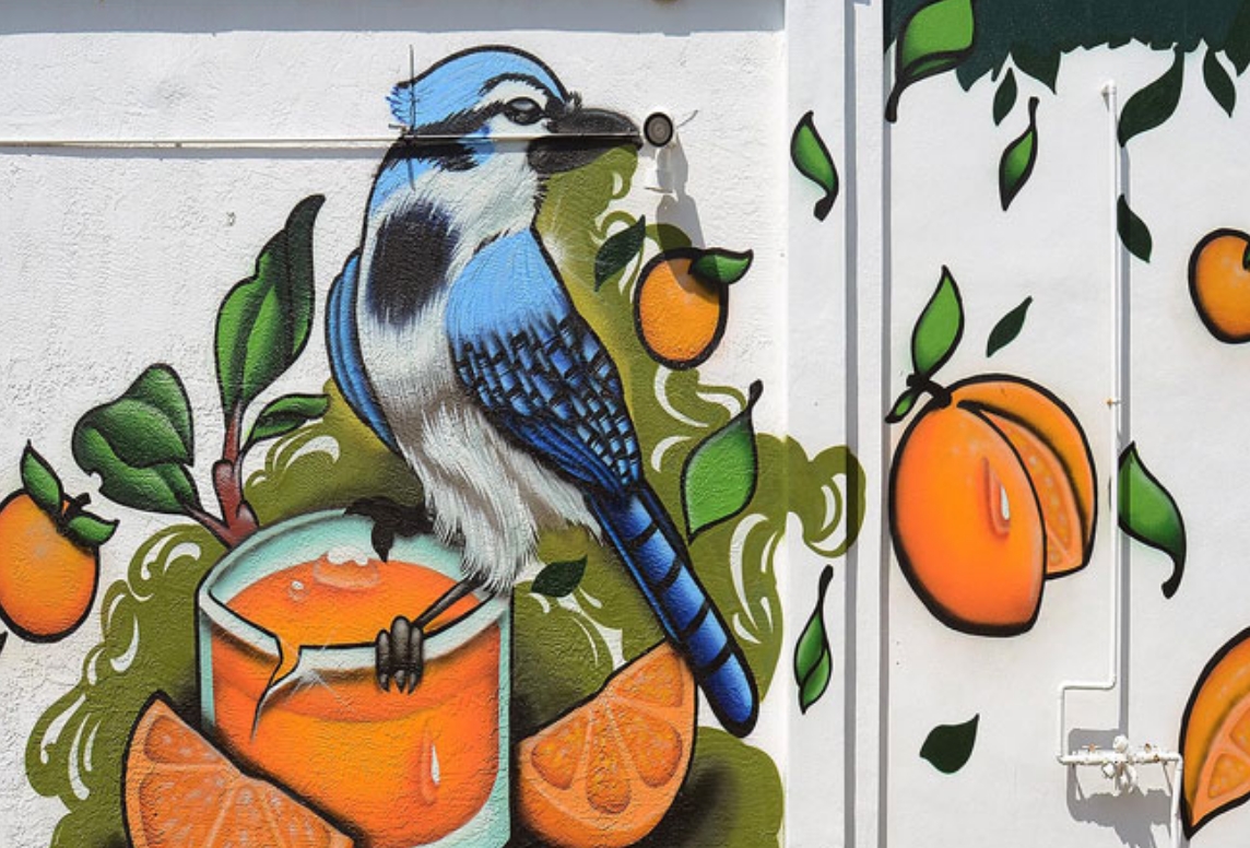 Mark Gilliam "Bluebirds & Oranges" Mural